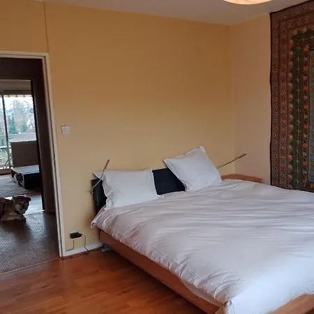 Appartement Avec Balcon : Le Serenity Turckheim Extérieur photo